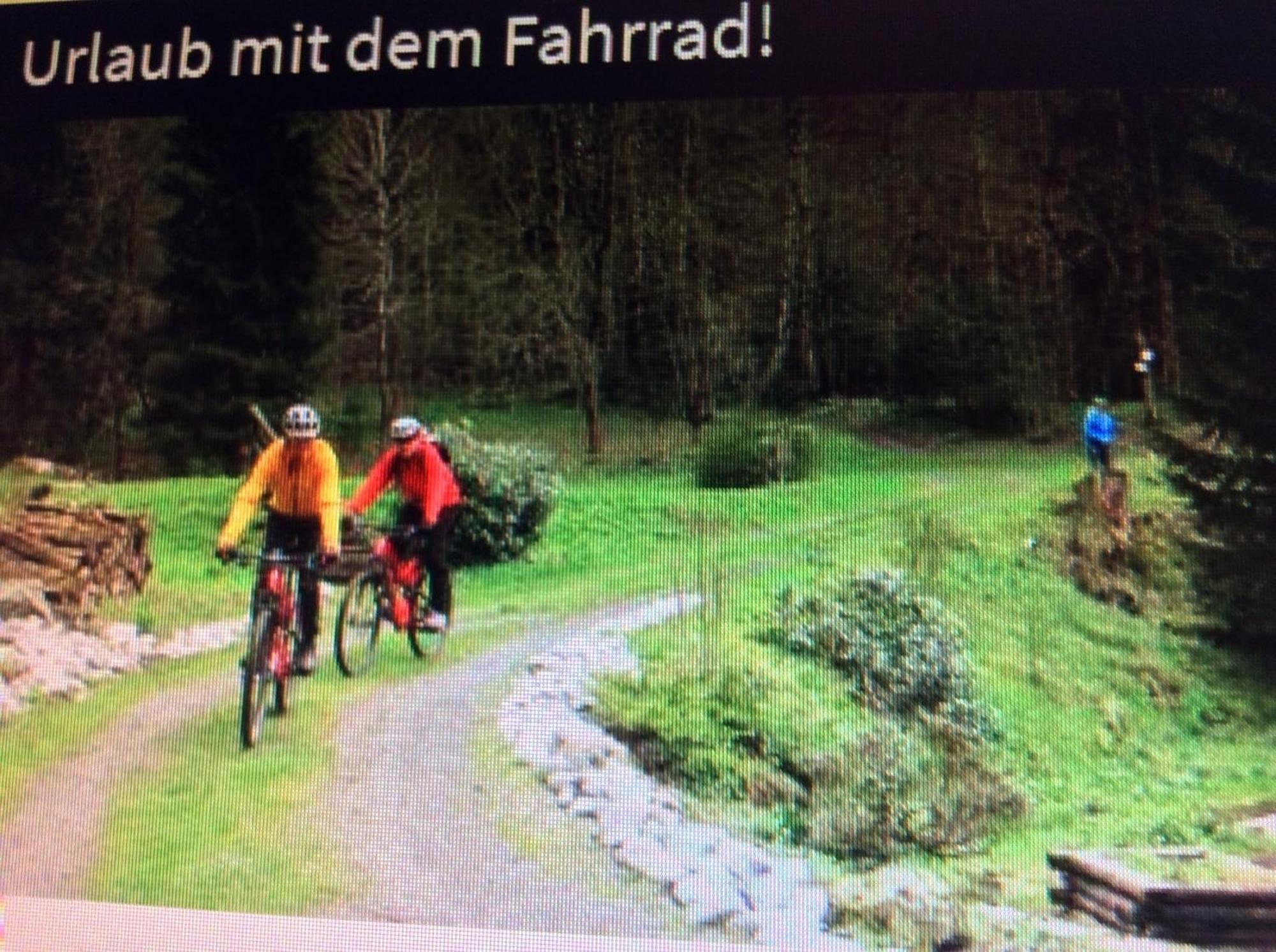 Fewo Romy - a60954 Braunlage Zewnętrze zdjęcie