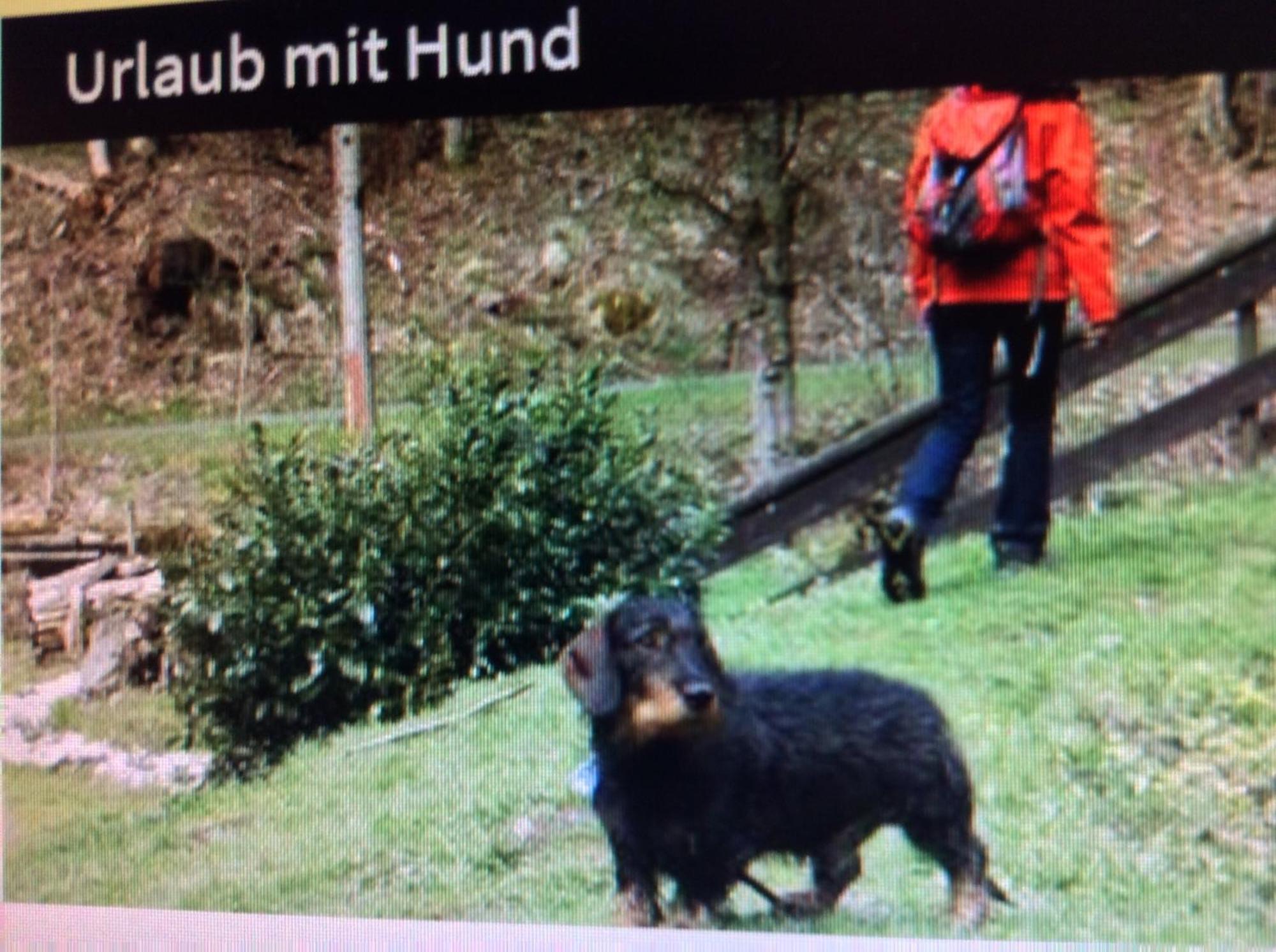 Fewo Romy - a60954 Braunlage Zewnętrze zdjęcie